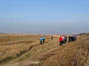 ed9928e9-0068-4f34-b334-afa1c3030a69